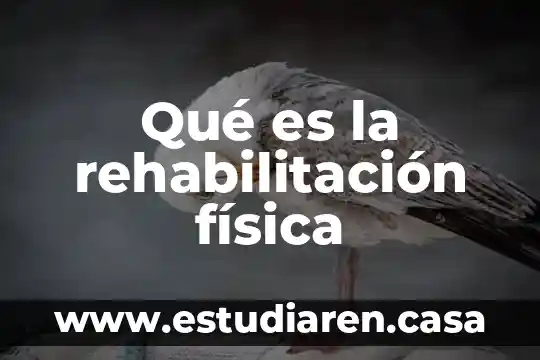 Qué es la rehabilitación física