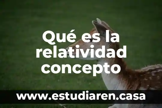 Qué es la relatividad concepto
