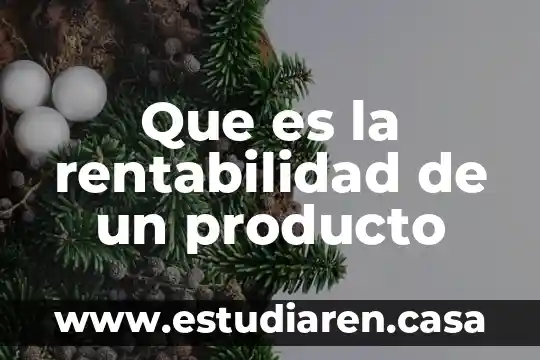 Que es la rentabilidad de un producto