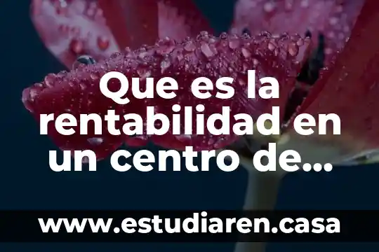 Que es la rentabilidad en un centro de computo