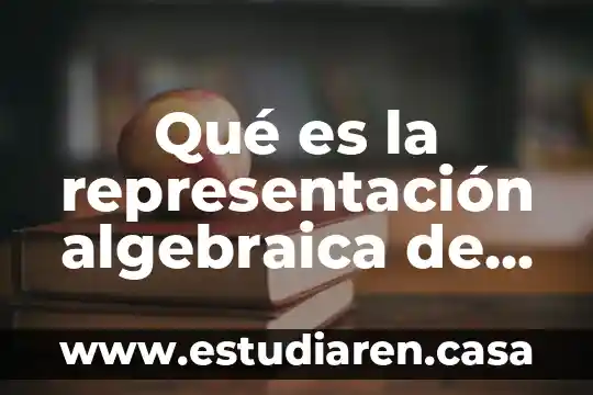 Qué es la representación algebraica de expresiones en lenguaje