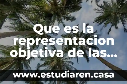 Que es representacion tecnica a lo largo de la historia 6 Que es la representacion objetiva de las pruebas en derecho