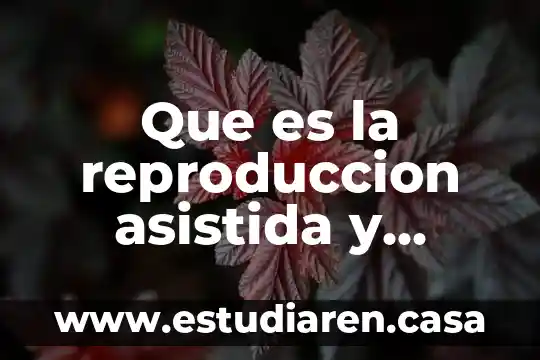 Que es la reproduccion asistida y cuantos tipos hay