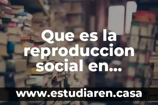Que es la reproduccion social en pedagogia
