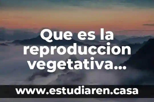 Que es la reproduccion vegetativa natural y artificial