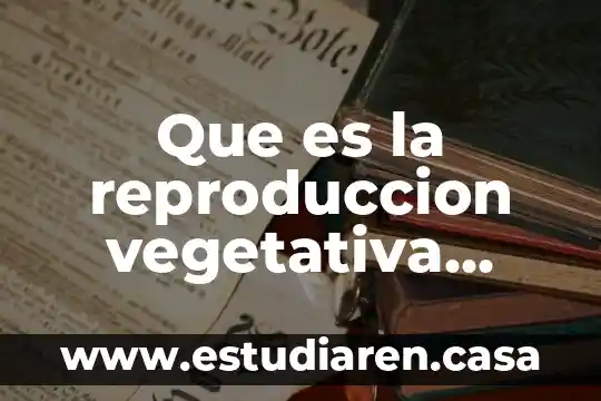 Que es la reproduccion vegetativa yahoo