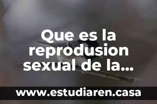Que es la reprodusion sexual de la planta