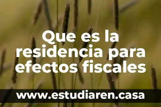 Que es la residencia para efectos fiscales