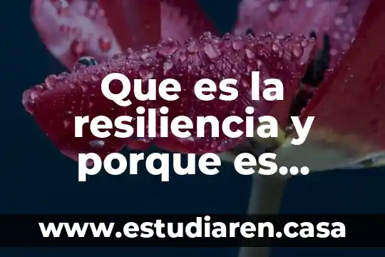 Cuadro de análisis de que es la resiliencia 7 Que es la resiliencia y porque es importante