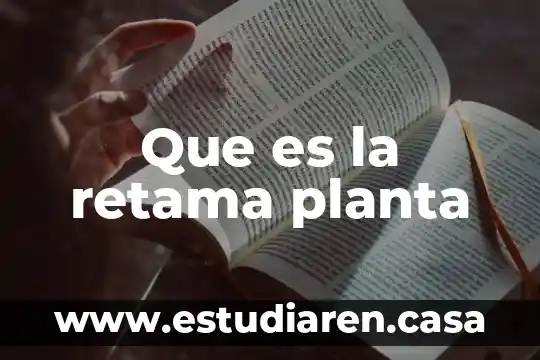 Que es la retama planta