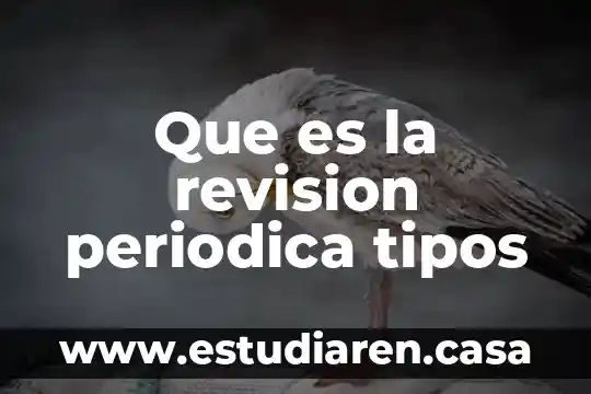 Que es la revision periodica tipos