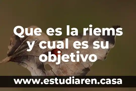 Que es la riems y cual es su objetivo