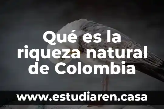Qué es la inversión extranjera directa en Colombia 4 Qué es la riqueza natural de Colombia