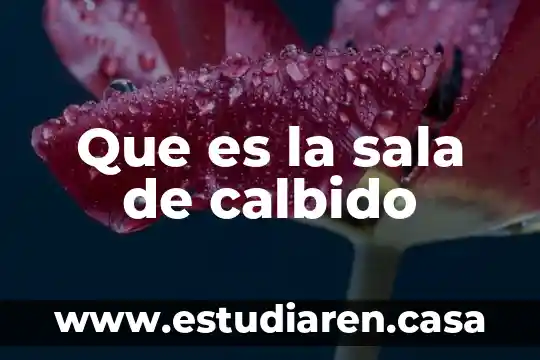 Qué es DMC en sala Priority 8 Que es la sala de calbido