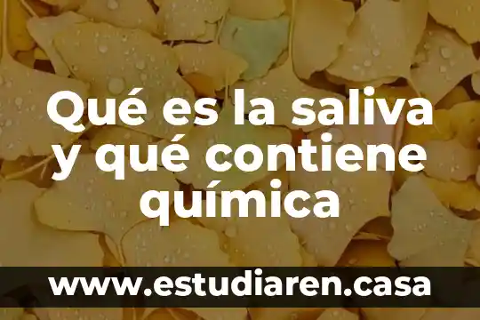 Qué es la saliva y qué contiene química