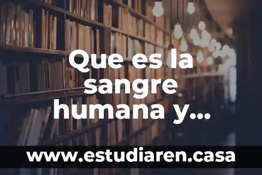 Que es la sangre humana y como esta compuesta