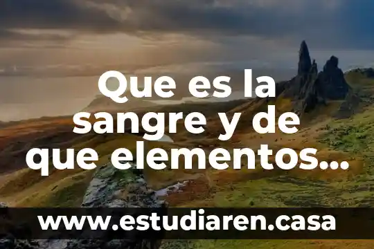 Que es la sangre y de que elementos esta formada