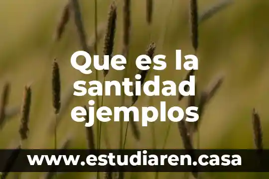 Que es la santidad ejemplos