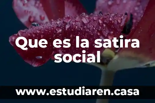 Que es la satira social