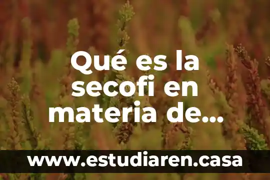 Que es reputar actos de comercio 6 Qué es la secofi en materia de comercio exterior