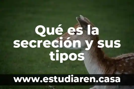 Qué es la secreción y sus tipos