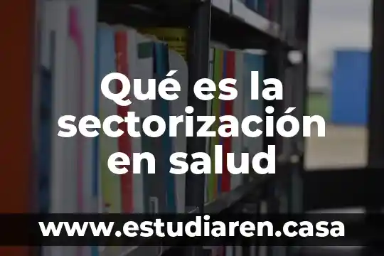 Qué es bs en salud 3 Qué es la sectorización en salud