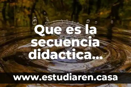 Que es un dracma segun la biblia 8 Que es la secuencia didactica segun anton antzavala