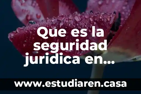 Que es la seguridad juridica en mexico segun la constitucion