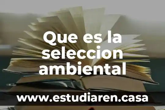 Que es el area de seleccion en word 4 Que es la seleccion ambiental