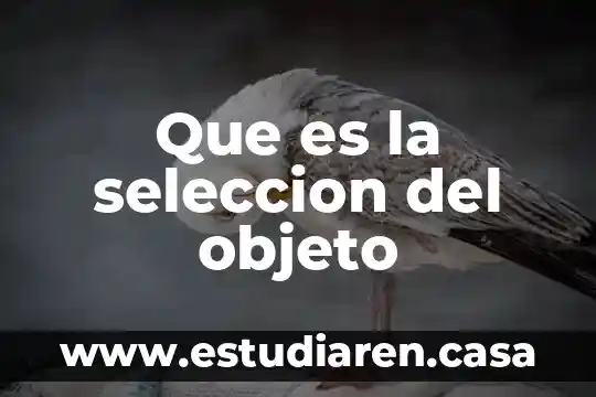 Que es el area de seleccion en word 3 Que es la seleccion del objeto