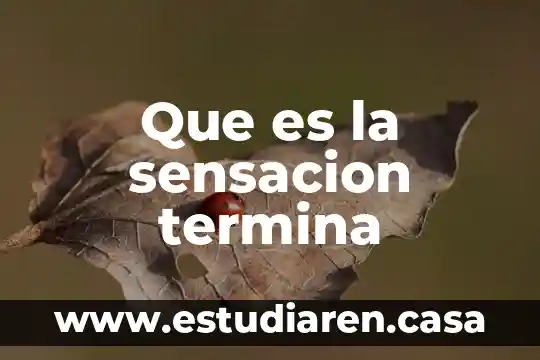 Que es una termina 6 Que es la sensacion termina