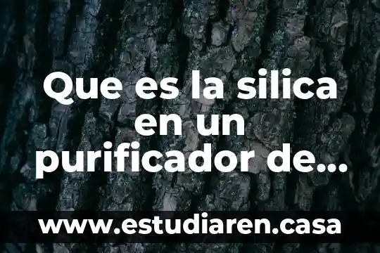 Que es la silica en un purificador de agua