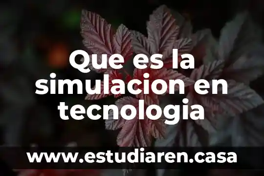 Que es la simulacion en tecnologia