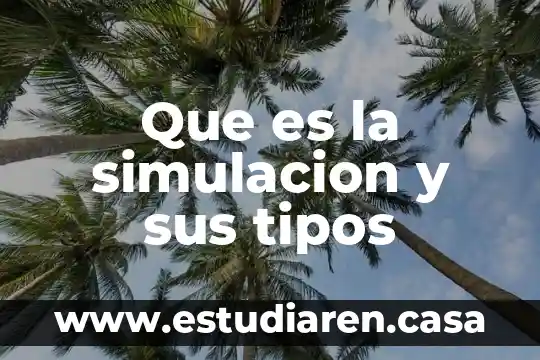 Que es la simulacion y sus tipos