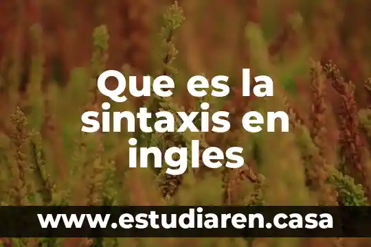 Que es la sintaxis en ingles