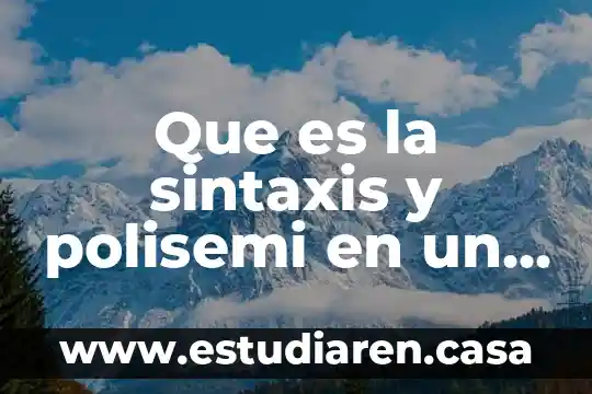 Que es la sintaxis y polisemi en un documental