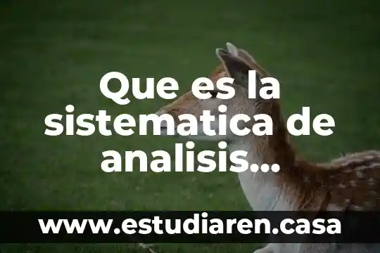 Que es un analisis metaurgico 6 Que es la sistematica de analisis funcional