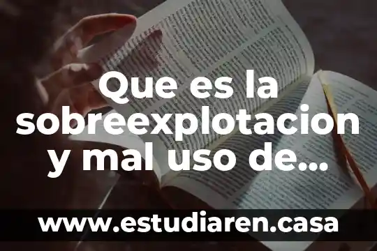 Que es un proveedor de recursos 3 Que es la sobreexplotacion y mal uso de recursos naturales