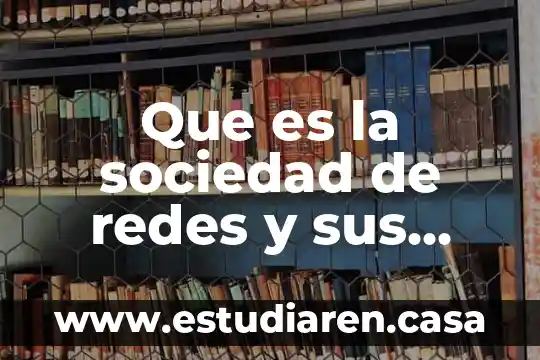 Qué es la denominación social de una sociedad 3 Que es la sociedad de redes y sus tipos