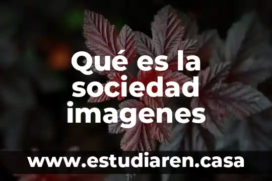 Qué es una sociedad guidens 6 Qué es la sociedad imagenes