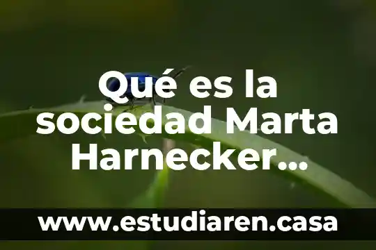 Qué es la denominación social de una sociedad 4 Qué es la sociedad Marta Harnecker conclusión