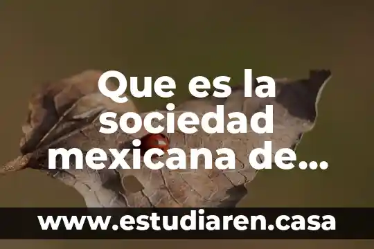 Qué es la denominación social de una sociedad 6 Que es la sociedad mexicana de gastronomia