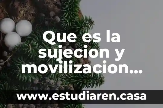 Que es la sujecion y movilizacion del niño