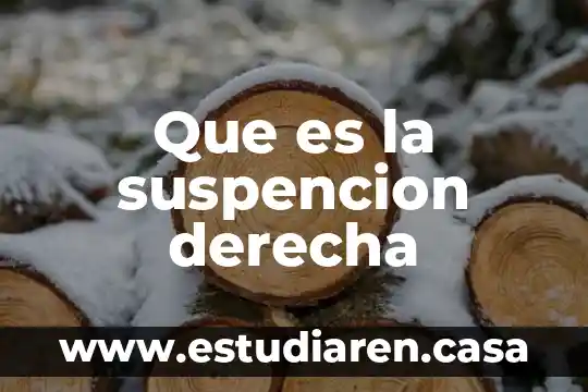 Que es una ventriculo derecha 7 Que es la suspencion derecha