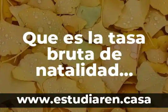 Que es la tasa bruta de natalidad ejemplos