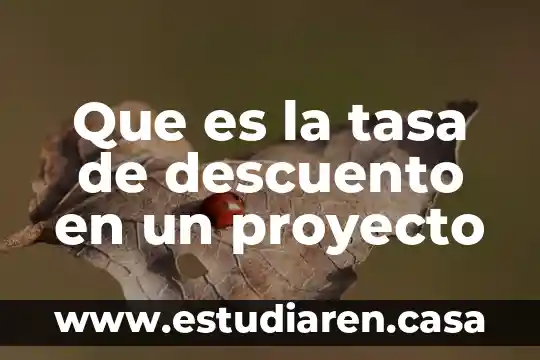 Qué es una tasa de contenido en informática 7 Que es la tasa de descuento en un proyecto