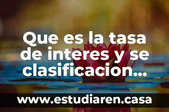 Que es la tasa de descuento en un proyecto 7 Que es la tasa de interes y se clasificacion fiscal