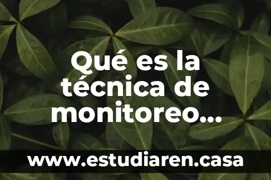 Que es la armonia personal 6 Qué es la técnica de monitoreo invasivo