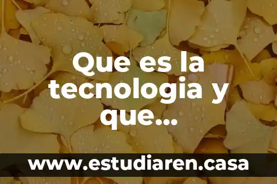 Que es la tecnologia y que importancia tiene