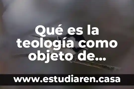 Qué es la teología como objeto de estudio